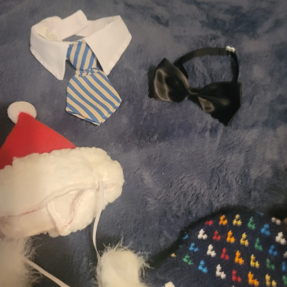 Pet Clothes & Accessories